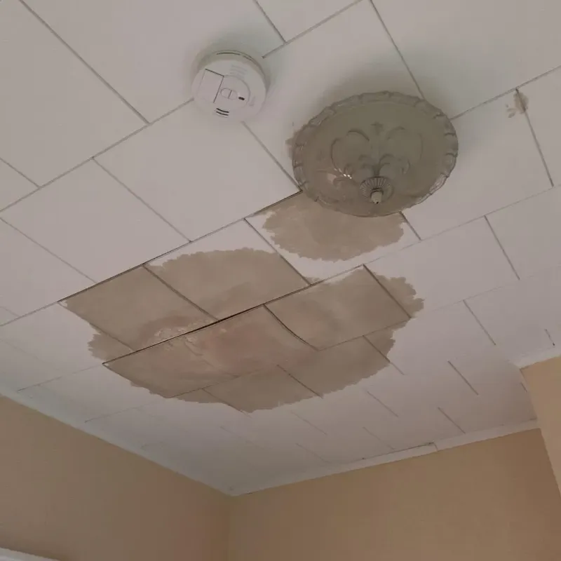 Ceiling Water Damage Repair in Newtown, CT