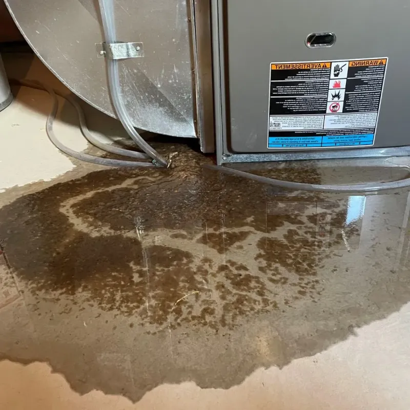 Pipe Burst and Leak Restoration in Newtown, CT